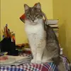 Отзыв от Виктория Беляева